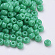 Baking Paint Glass Seed Beads SEED-Q025-3mm-L16-2