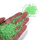 Glow in the Dark Luminous Transparent Glass Seed Beads SEED-YWC0001-01F-5