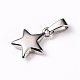 304 Stainless Steel Charms STAS-I127-067P-2