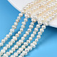 Brins de perles de culture d'eau douce naturelles PEAR-N013-04B-1