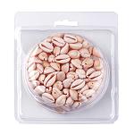 Perle naturali di conchiglia di ciprea, ovale, colore conchiglia, 10~18x9~12x3~8mm, Foro: 1~2 mm, circa 120~150 pc / scatola