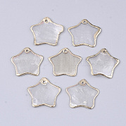 Гальванические подвески capiz shell SHEL-T012-15