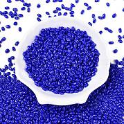 Выпечка краска стеклянные бусины SEED-T006-03-01
