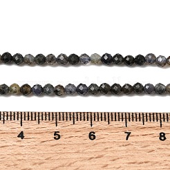 Naturperlen Stränge iolite&nbsp;G-G343-B01-3mm