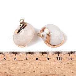 Natürliche Muschel Anhänger&nbsp;SSHEL-N038-48