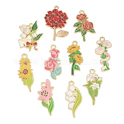 10pcs 10 styles de pendentifs en émail en alliage&nbsp;ENAM-L054-01G