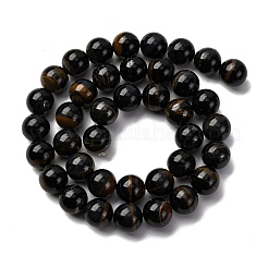 Brins de perles en fer tigré bleu naturel teinté&nbsp;G-G286-A03-10mm