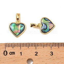 Natürliche Paua-Muschel-Herzanhänger&nbsp;KK-G538-20G