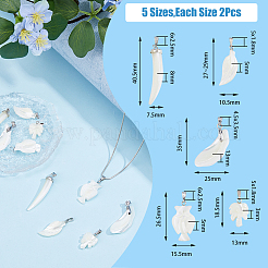 10 pendentif en coquillage de trochidé naturel de 5 styles&nbsp;SSHEL-FH0001-18