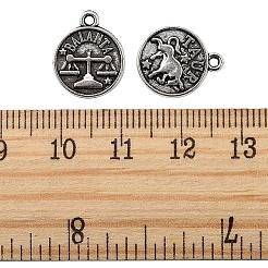Encantos de aleación de estilo tibetano&nbsp;TIBE-YW0001-17AS-LF