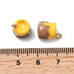 Legierung Emaille Anhänger / charms&nbsp;FIND-C077-01