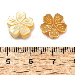 Perline intagliate di conchiglia gialla naturale&nbsp;SSHEL-Z002-02C