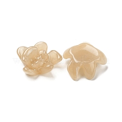 Cabochons décodés en résine opaque&nbsp;REST-M040-01C