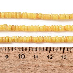 Chapelets de perles de coquille d'eau douce naturelle teinte&nbsp;SH-CBA2978-05B