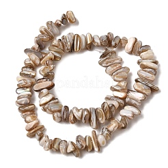 Natürlichen Süßwasser-Muschelperlen Stränge&nbsp;SHEL-A006-05