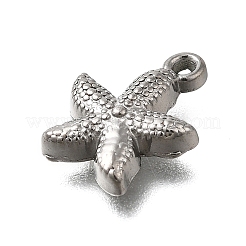 Anhänger aus 304 Edelstahl&nbsp;STAS-C119-24D-P