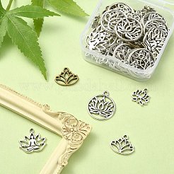 60pcs 6 pendentifs en alliage de style tibétain&nbsp;TIBE-YW0001-31