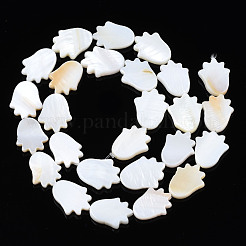 Naturali di acqua dolce perline shell fili&nbsp;SHEL-S278-04-A01