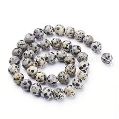 Dalmata naturale perline di diaspro fili&nbsp;GSR10mmC004