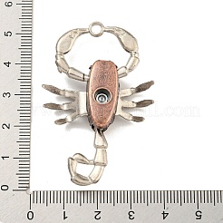 Tibetischer stil Aluminium Anhänger & Charms&nbsp;FIND-C052-18R