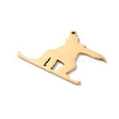 Pendentifs en acier inoxydable 304&nbsp;LS-STAS-S149-06G