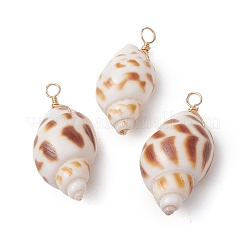 Natürliche Spirale Shell Anhänger&nbsp;PALLOY-JF02949