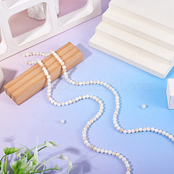 2 filo di perline di conchiglia d'acqua dolce naturale color ab&nbsp;BSHE-TA0001-40