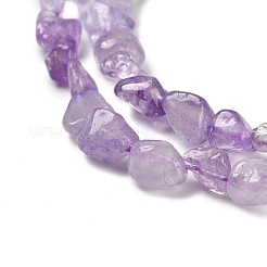 Natürlichen Amethyst Perlen Stränge&nbsp;G-P497-01E-21