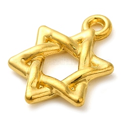Pendentifs en acier inoxydable 304 avec placage ionique (IP)&nbsp;STAS-M070-14G