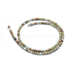 Natürliche Aqua Terra Jaspis Perlen Stränge&nbsp;G-N0128-48-4mm