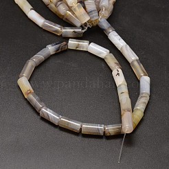 Säule natürliche dendritische Achatperlenstränge&nbsp;G-M257-16x8mm-21