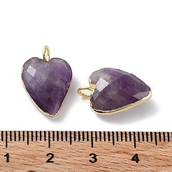 Natürlichen Amethyst Edelsteinanhänger&nbsp;G-G012-11G-08
