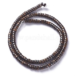 Natürliche bronzite Perlenstränge&nbsp;G-P444-06B