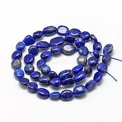Natürlicher Lapislazuli Perlenstränge&nbsp;G-R445-6x8-35