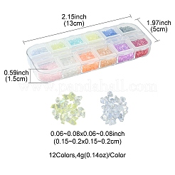 48 g 12 Farben transparentes galvanisiertes zerkleinertes Glashandwerk&nbsp;GLAA-FS0001-65