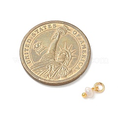 Natürliche Süßwasser-Zuchtperlen-Unterlegscheibe-Charms&nbsp;X-PALLOY-JF04393-02