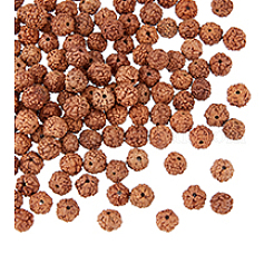 150 pièce de perles de rudraksha naturelles non teintes&nbsp;WOOD-DC0001-17