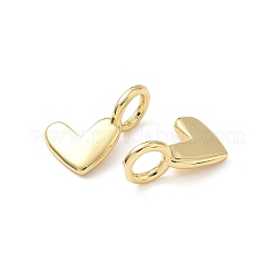 Messing Anhänger & Charms&nbsp;KK-L239-014G