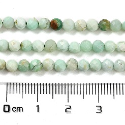Natürlichen grünen Opal Perlen Stränge&nbsp;G-Z035-A02-03E