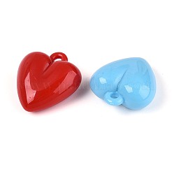 Opake Acryl Anhänger&nbsp;SACR-T035-21M