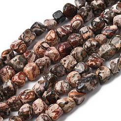 Fili di perline jasper naturali di pelle di leopardo&nbsp;G-B161-A03-01