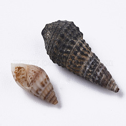Naturspirale Muschelperlen&nbsp;SSHEL-S258-85