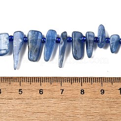 Natürliche kyanite Perlen Stränge&nbsp;G-J403-02