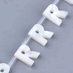 Perles de coquille naturels&nbsp;SHEL-T012-60R