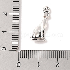 Tibetischer stil Aluminium Anhänger & Charms&nbsp;TIBE-Q050-72AS-LF