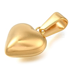Pendentifs en acier inoxydable 304 avec placage ionique (IP)&nbsp;STAS-Z113-02G