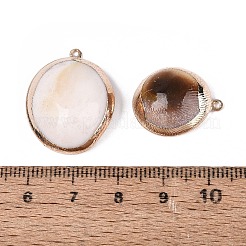 Galvanisierte Anhänger aus natürlichen Muscheln&nbsp;SSHEL-Q100-13KCG