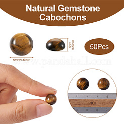 Tigre naturale cabochon occhio&nbsp;G-R416-12mm-35