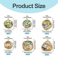 12 stücke 6 arten 304 edelstahl pflastern natürliche paua shell anhänger&nbsp;STAS-TA0005-90