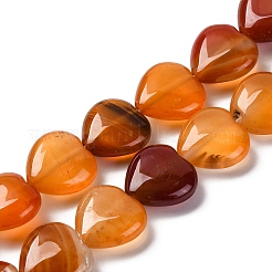Fili di perline agata rosso naturale&nbsp;G-I372-A03-02